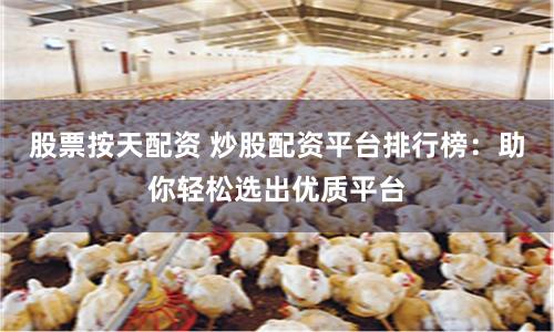 股票按天配资 炒股配资平台排行榜：助你轻松选出优质平台